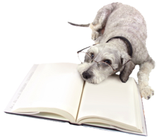 dog_reading_book_image